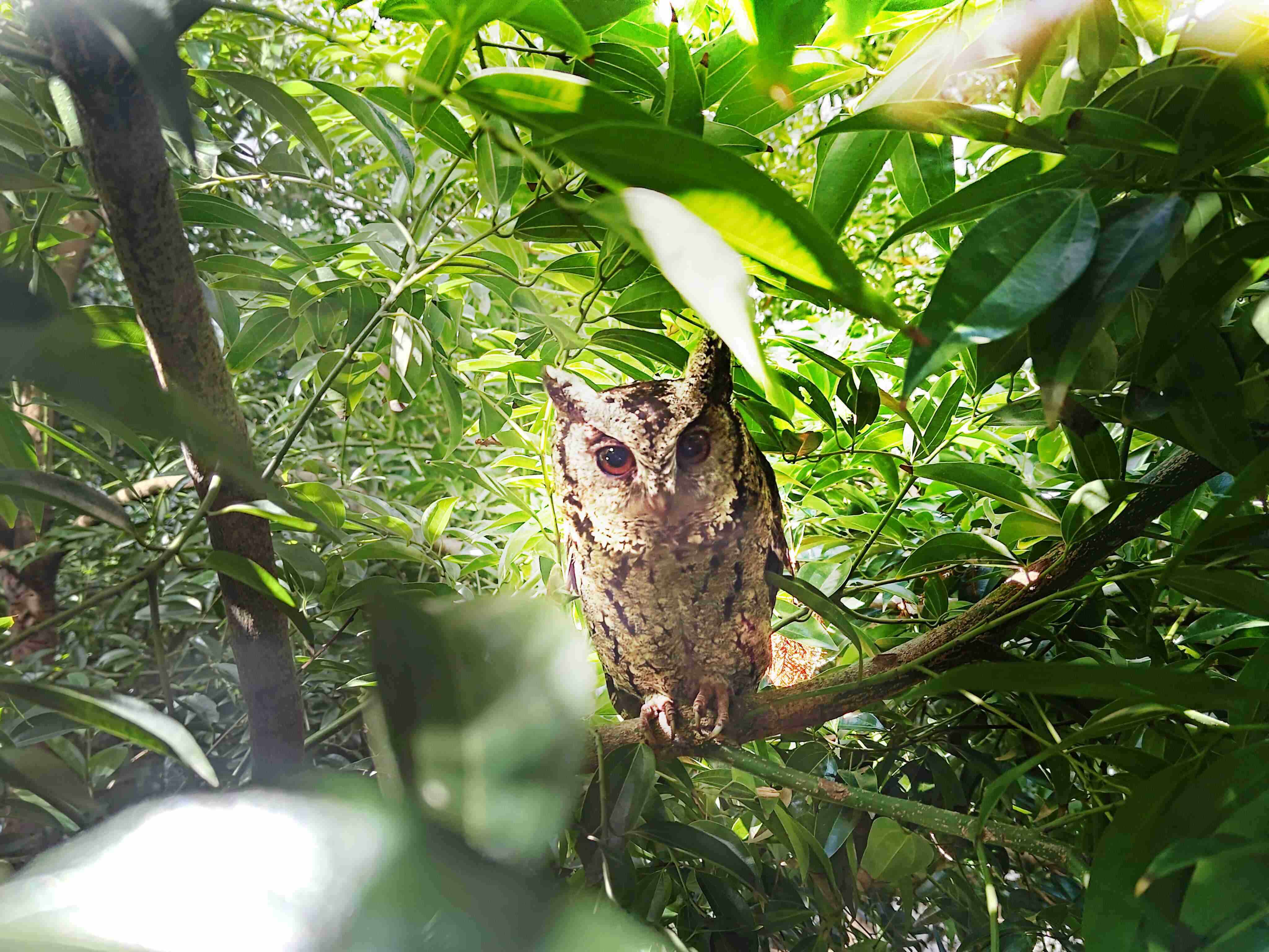 z6尊龙致力提倡净零绿生活，，16年以来在全球各厂区植树逾百万棵，，，造就各厂区树木蔚然成林，，，，犹如森林工厂，，成为许多生物的栖息地